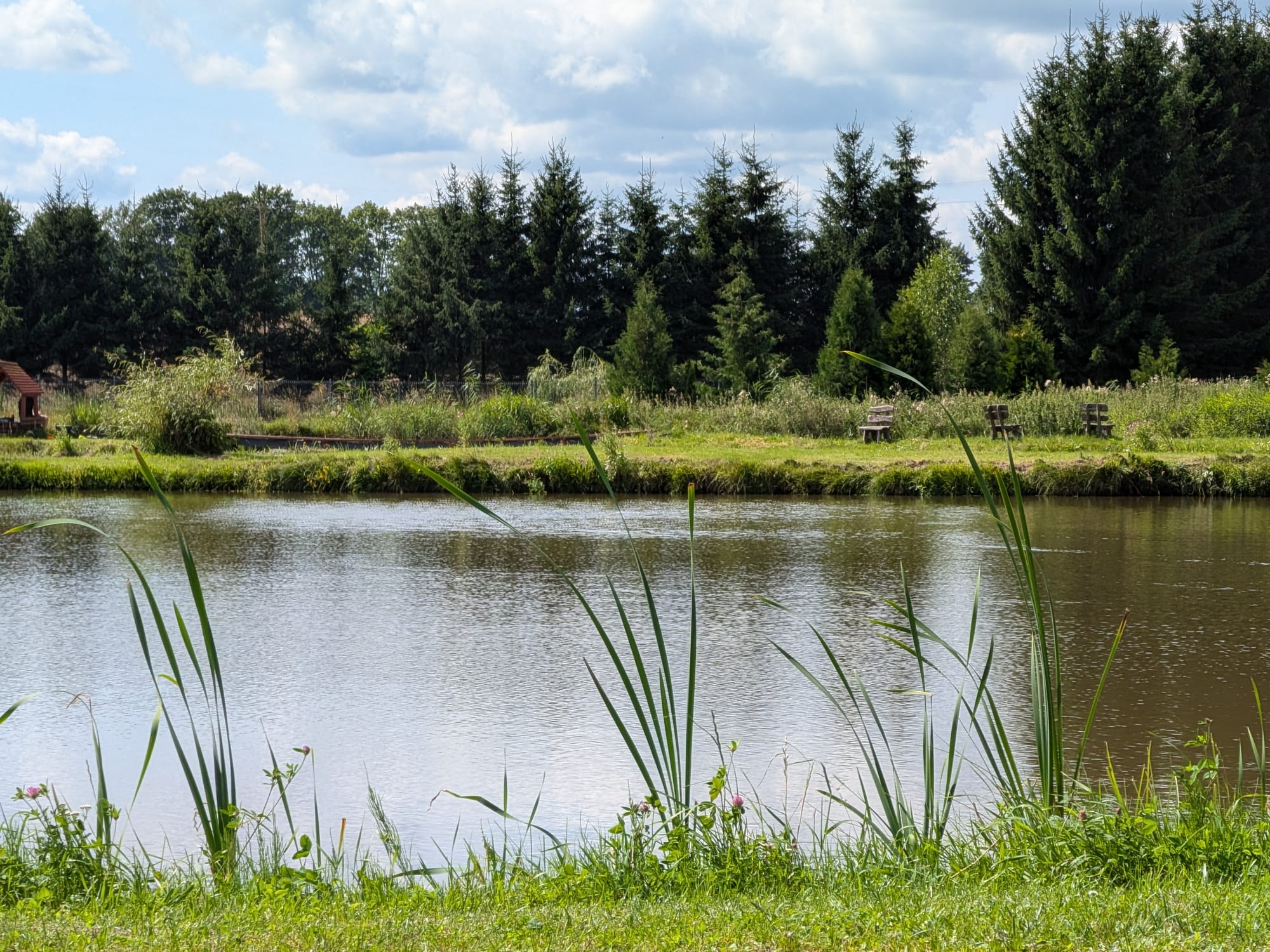 View of the lakes and grounds at Azyl
