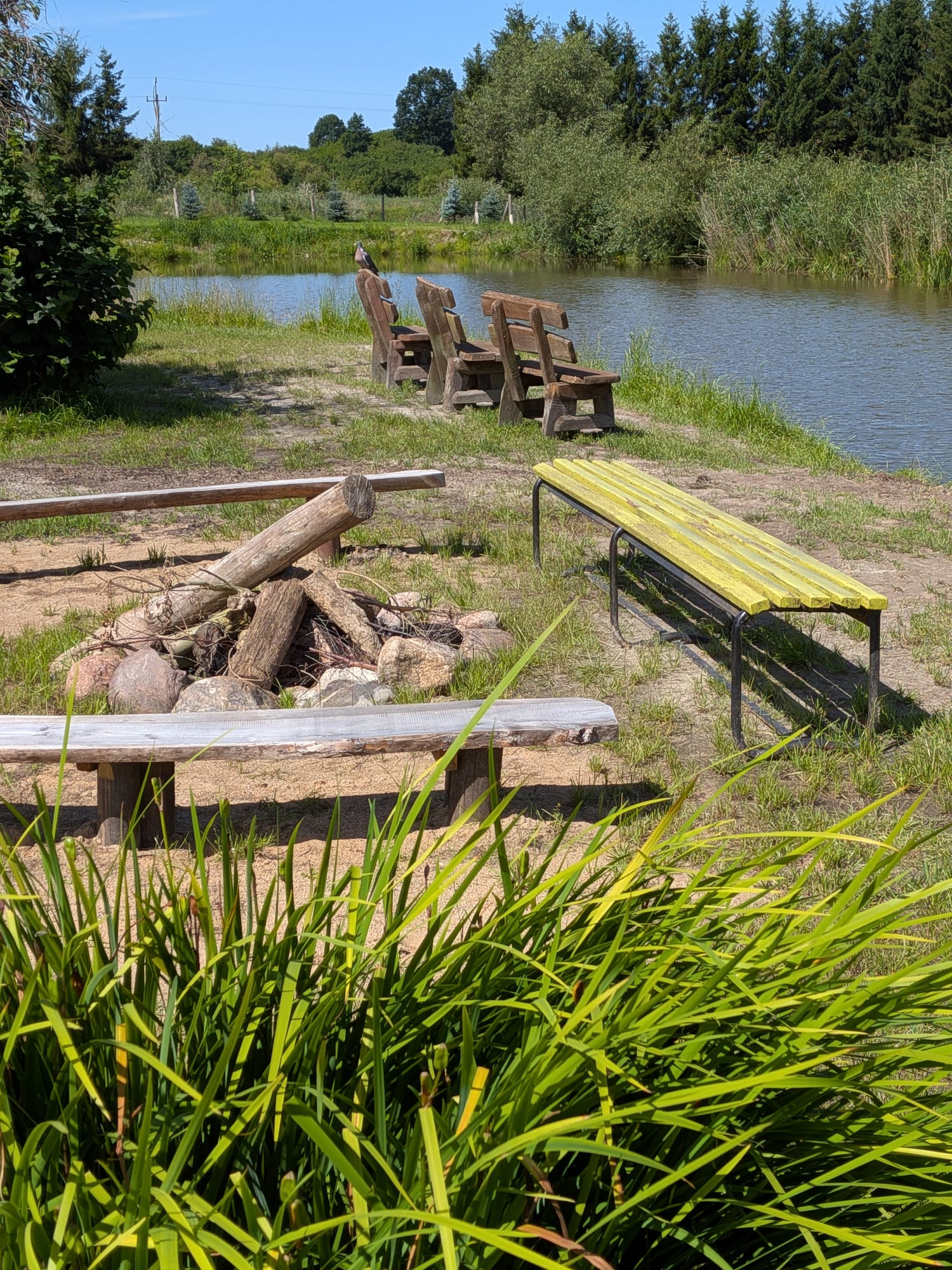 Miejsce na ognisko na terenie obiektu